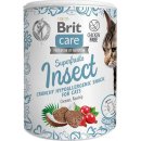 Krmivo pro kočky Brit Care Cat Snack Superfruits Insect 100 g