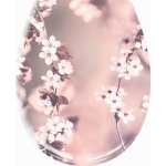 Kleine Wolke Blossom 1857401075 – Hledejceny.cz