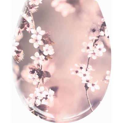 Kleine Wolke Blossom 1857401075 – Hledejceny.cz