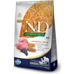 N&D Ancestral Grain Dog Adult Medium & Maxi Lamb & Blueberry 12 kg – Sleviste.cz