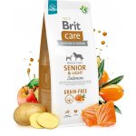 Brit Care Grain-free Senior & Light Salmon 3 kg – Sleviste.cz