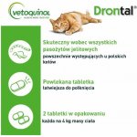 VetExpert VetAminex 60 kapslí – Hledejceny.cz