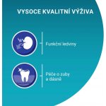 Purina ONE Bifensis Senior 7+ kuře a celozrnné obilniny 0,8 kg – Zboží Dáma