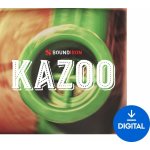 Soundiron Kazoo Digitální produkt – Hledejceny.cz