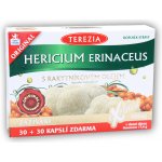 Terezia Company Hericium erinaceus s rakytníkovým olejem 60 kapslí – Hledejceny.cz