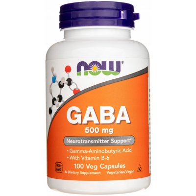 Now Foods Gaba Kyselina Gama Aminomáselná 500 mg 100 veg kapslí – Hledejceny.cz