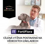 Purina Pro Plan Veterinary Diets Canine FortiFlora žvýkací tablety 30 ks – Sleviste.cz