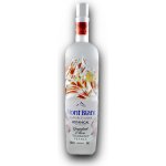 Mont Blanc Botanical Collection Grapefruit & Rose 38% 0,7 l (holá láhev) – Hledejceny.cz