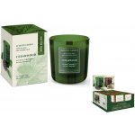 Bartek Candles Cedarwood 150 g – Sleviste.cz