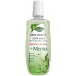 Dentamint Mentol 500 ml – Zboží Mobilmania