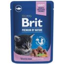 Krmivo pro kočky Brit Premium Cat Pouches white fish for Kitten 100 g