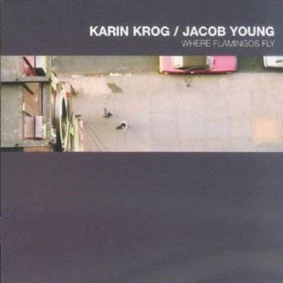 Jacob Young - Where Flamingos Fly Krog, Karin – Zbozi.Blesk.cz