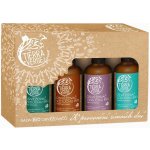 Tierra Verde Sada osvěžovačů vzduchu - K provonění zimních dní 4 x 100 ml – Zboží Dáma