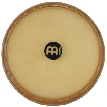 Meinl Head12C