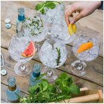 Degustace Gin 25.11.2026 - 1 osoba, Podpalubí Warehouse #1 Praha, 1-2 hod – Hledejceny.cz