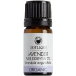 Odylique Esenciální olej Levandule 10 ml – Hledejceny.cz