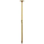 DOMAX Konstrukční vrut CT s talířovou hlavou TORX T40 8 x 140 mm pozinkovaný 50 ks – Hledejceny.cz