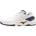 Mizuno WAVE STEALTH NEO X1GA200043 – Zboží Mobilmania