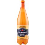 Sanpellegrino Aranciata 1,2 l – Zboží Dáma