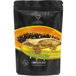 Gecko Nutrition banán, papája 100 g – Hledejceny.cz