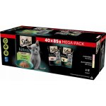 Sheba Kitten losos a kuřecí 40 × 85 g – Sleviste.cz