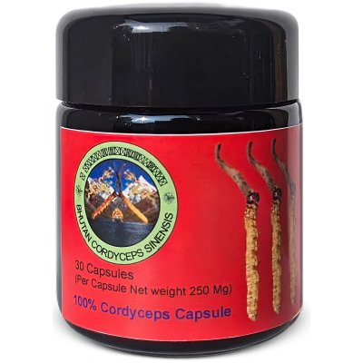 Divoký Cordyceps pravý Bhútán 30 kapslí – Hledejceny.cz