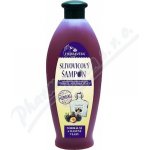 Herbavera šampon slivovicový 550 ml – Hledejceny.cz