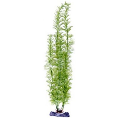 Penn Plax Flowering Cabomba Super 45,5 cm – Zboží Dáma