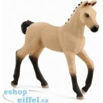 Schleich 13929 hříbě hannoverské – Sleviste.cz