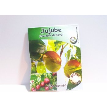 Salvia Paradise JUJUBE - Cicimek datlový semena 2 Ks