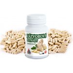 Zázvorový extrakt Ginger Root VALKNUT 120 kapslí – Hledejceny.cz