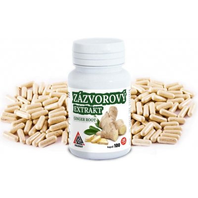 Zázvorový extrakt Ginger Root VALKNUT 120 kapslí – Hledejceny.cz