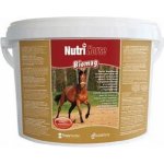 NutriHorse Calm 1 kg – Zboží Dáma