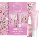 Lumene Lumo Nordic Bloom sérum pro zpevnění pleti 30 ml – Hledejceny.cz