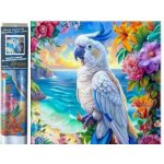 NORIMPEX Diamantové malování Papoušek Kakadu 30 x 40 cm – Sleviste.cz