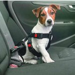 Karlie-Flamingo Bezpečnostní postroj do auta M 47-76 x 2,5 cm – Hledejceny.cz