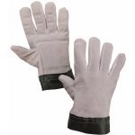 Canis TEMA – Zbozi.Blesk.cz