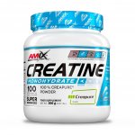 Amix Creatine monohydrate 300 g – Hledejceny.cz