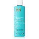 Moroccanoil Moisture Repair Shampoo 250 ml – Zboží Mobilmania
