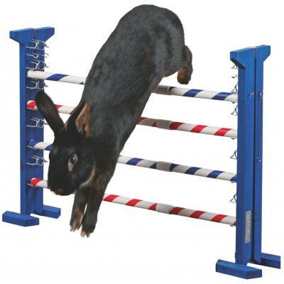 Agility vysoká překážka pro králíky a jiné hlodavce - králičí hop – Hledejceny.cz