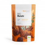 MycoMedica Reishi prášek BIO 100 g – Hledejceny.cz