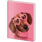 Stil Památník A5 13x18cm čistý Cute – Zboží Dáma