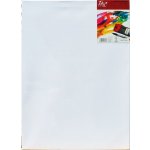 canvas Malířské plátno, 70 × 50 cm – Zboží Dáma