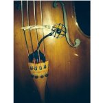 Prodipe CL21 – Zboží Živě