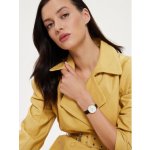 Daniel Wellington DW00100686 – Hledejceny.cz