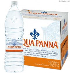 Acqua Panna PET 12 x 1 l