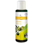 Green Idea BIO Jojobový olej 100 ml – Zboží Mobilmania