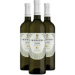 Marani TBILISURI bílé polosuché víno 12% 3 x 0,75 l (holá láhev) – Hledejceny.cz