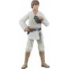 Figurka Hasbro Star Wars The Black Series Luke Skywalker SW: EP4