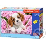Castorland Štěňátko v růžových květinách 180 dílků – Sleviste.cz